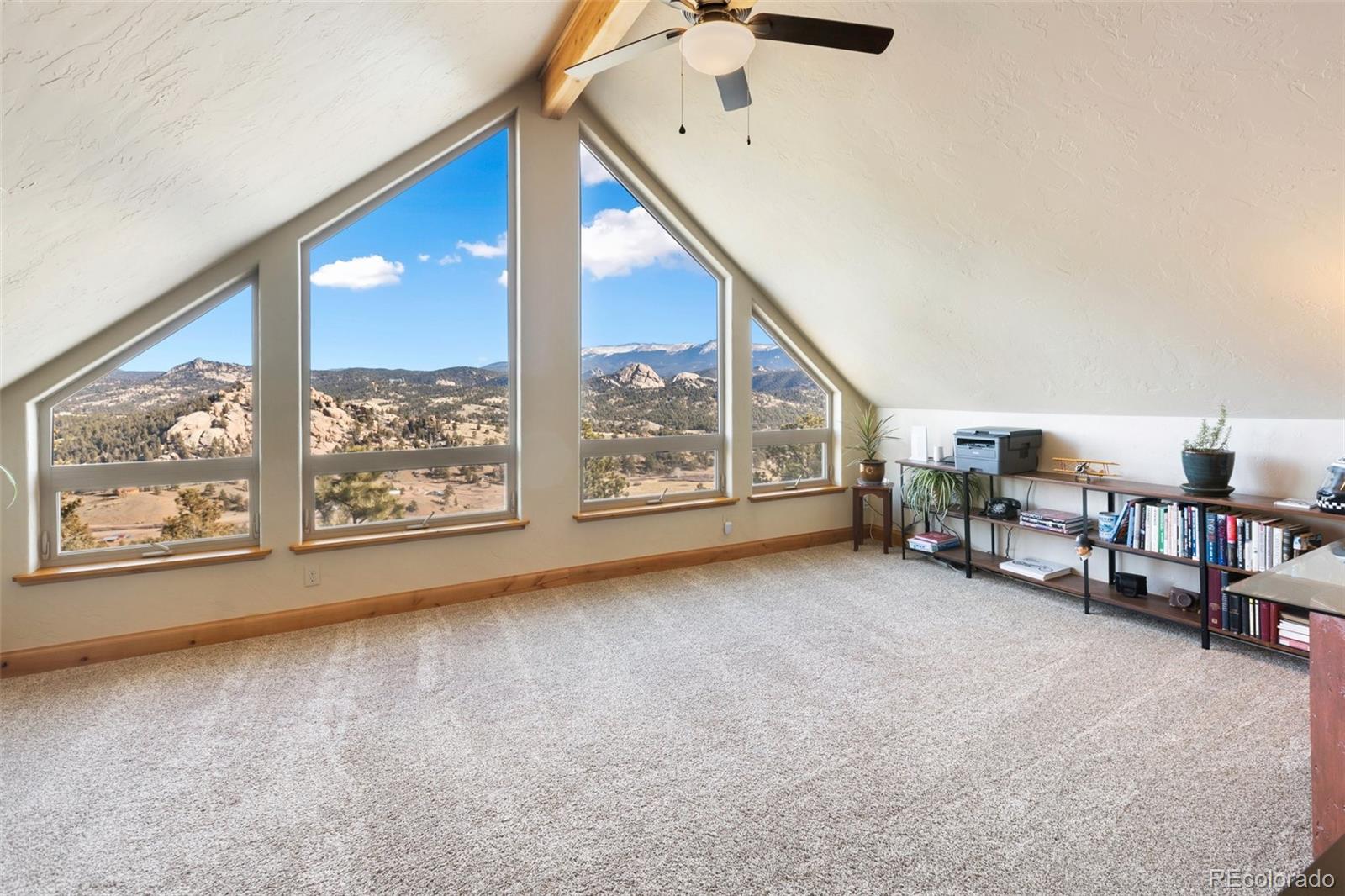 MLS Image #29 for 146  conifer circle,florissant, Colorado