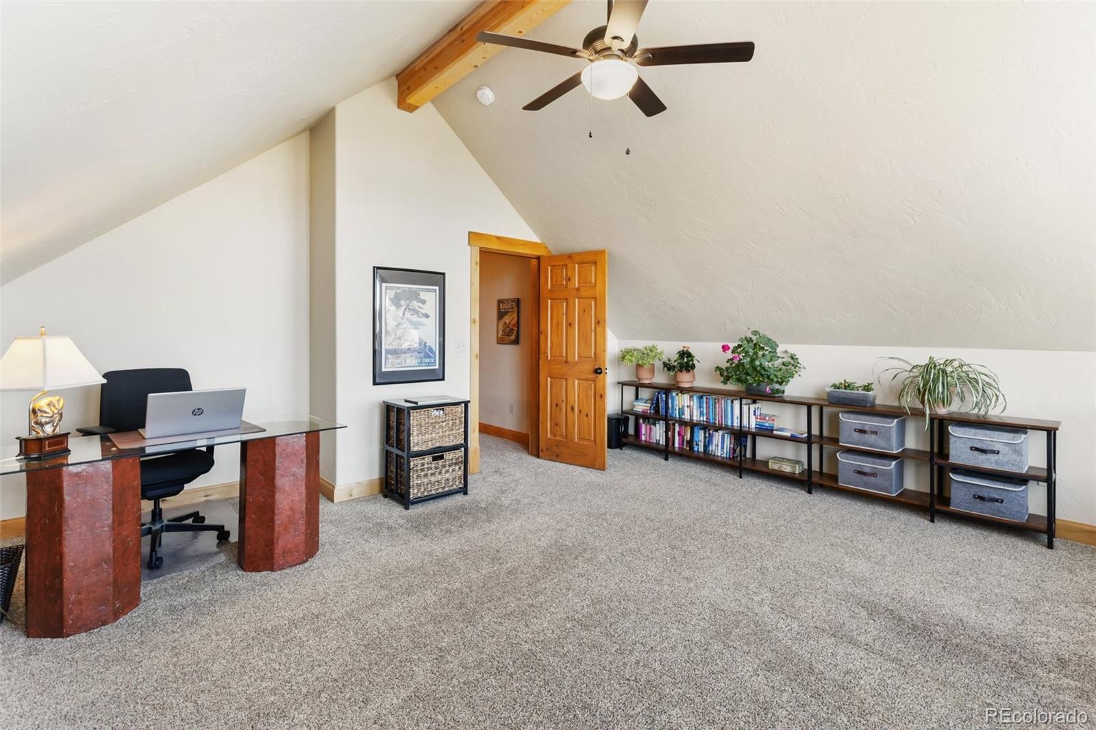 MLS Image #30 for 146  conifer circle,florissant, Colorado