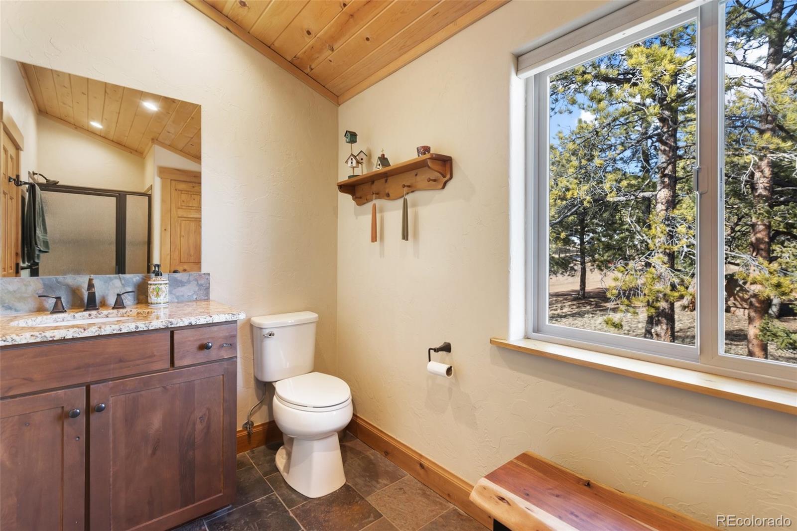 MLS Image #32 for 146  conifer circle,florissant, Colorado