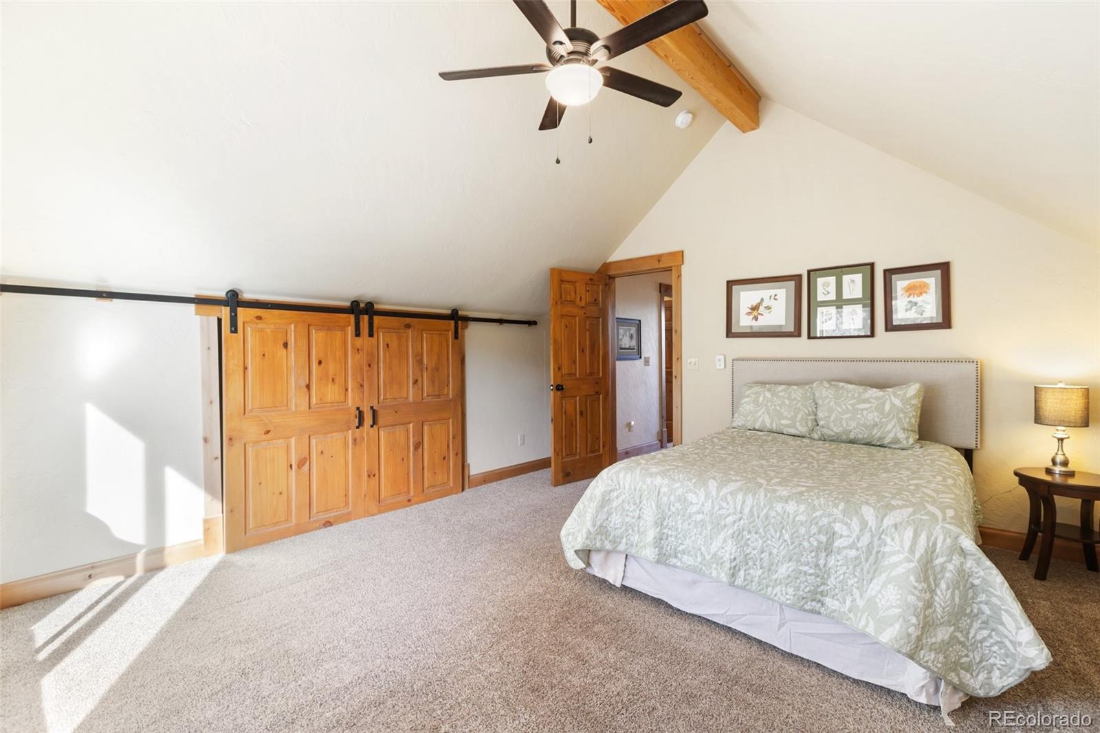 MLS Image #33 for 146  conifer circle,florissant, Colorado