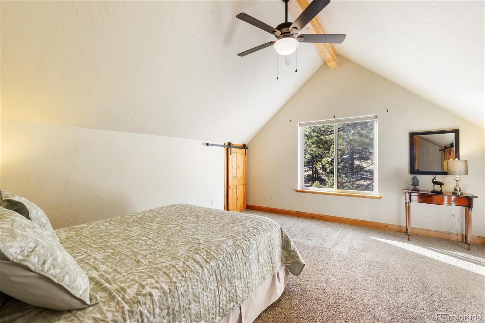 MLS Image #34 for 146  conifer circle,florissant, Colorado