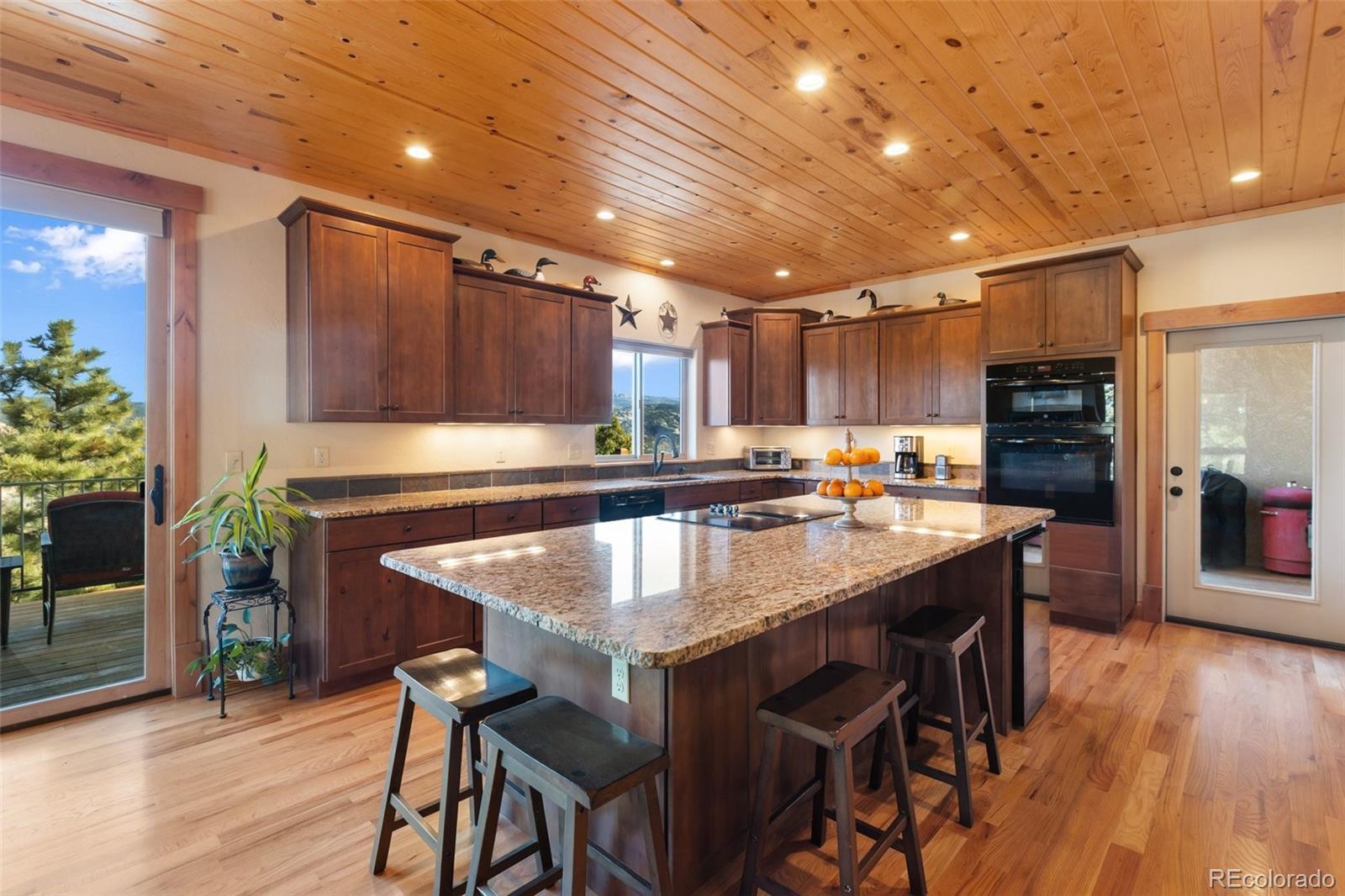 MLS Image #9 for 146  conifer circle,florissant, Colorado