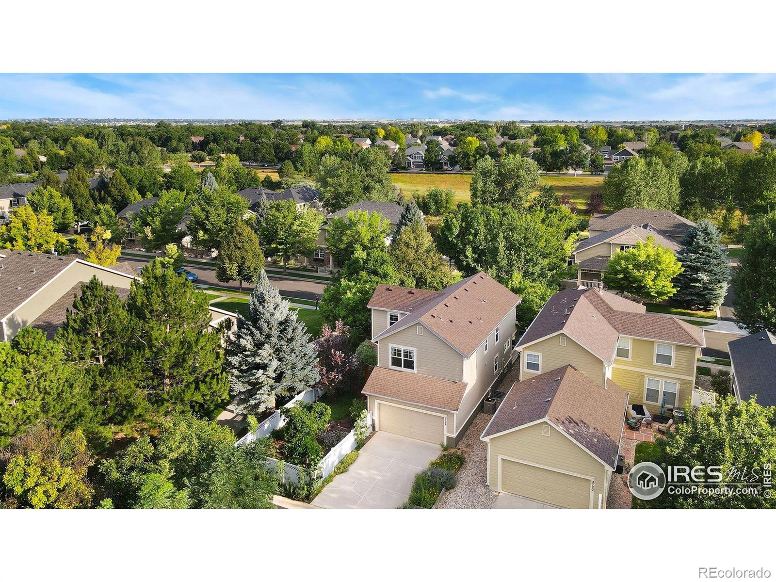 MLS Image #41 for 2726  county fair lane,fort collins, Colorado