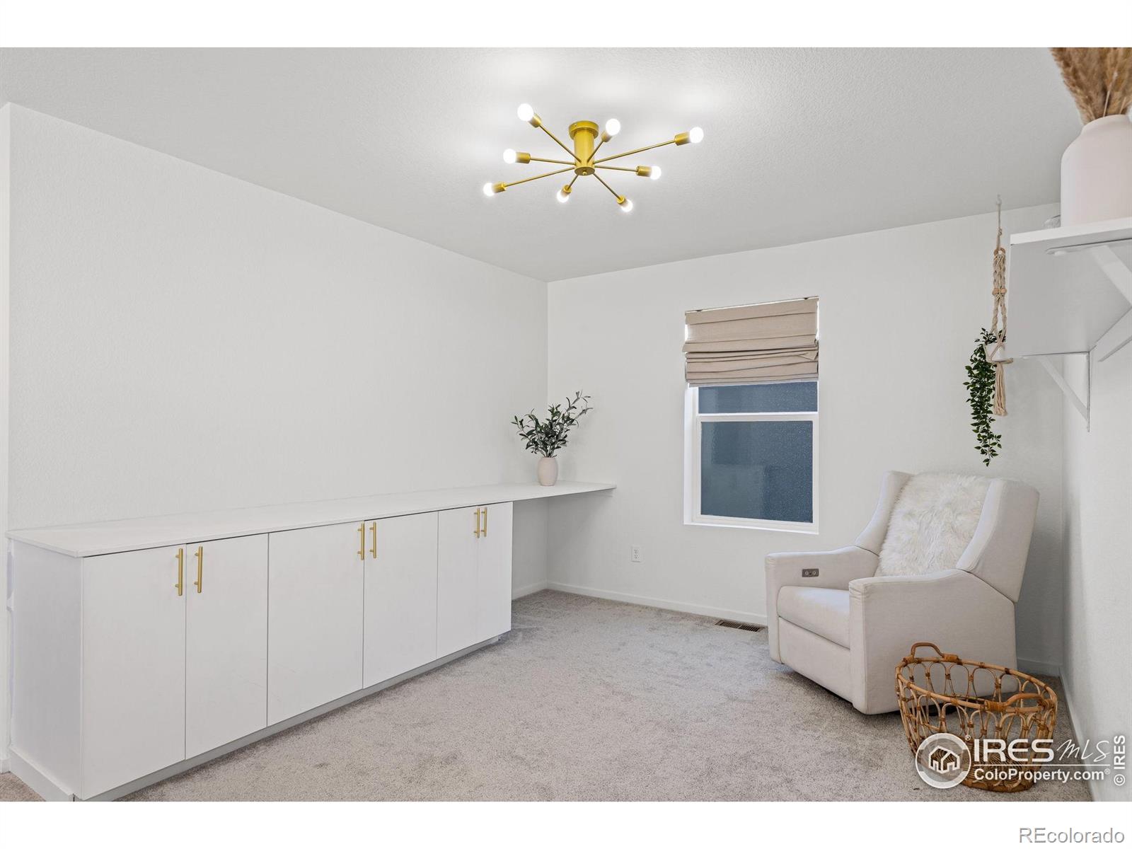 MLS Image #12 for 5082  brule drive,timnath, Colorado