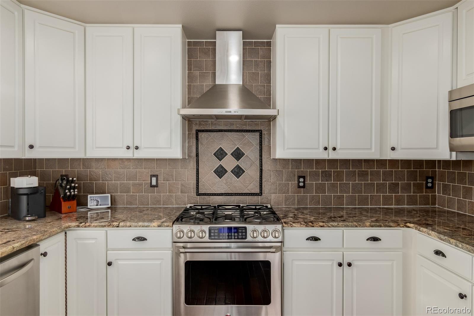 MLS Image #16 for 9593  painted canyon circle,highlands ranch, Colorado