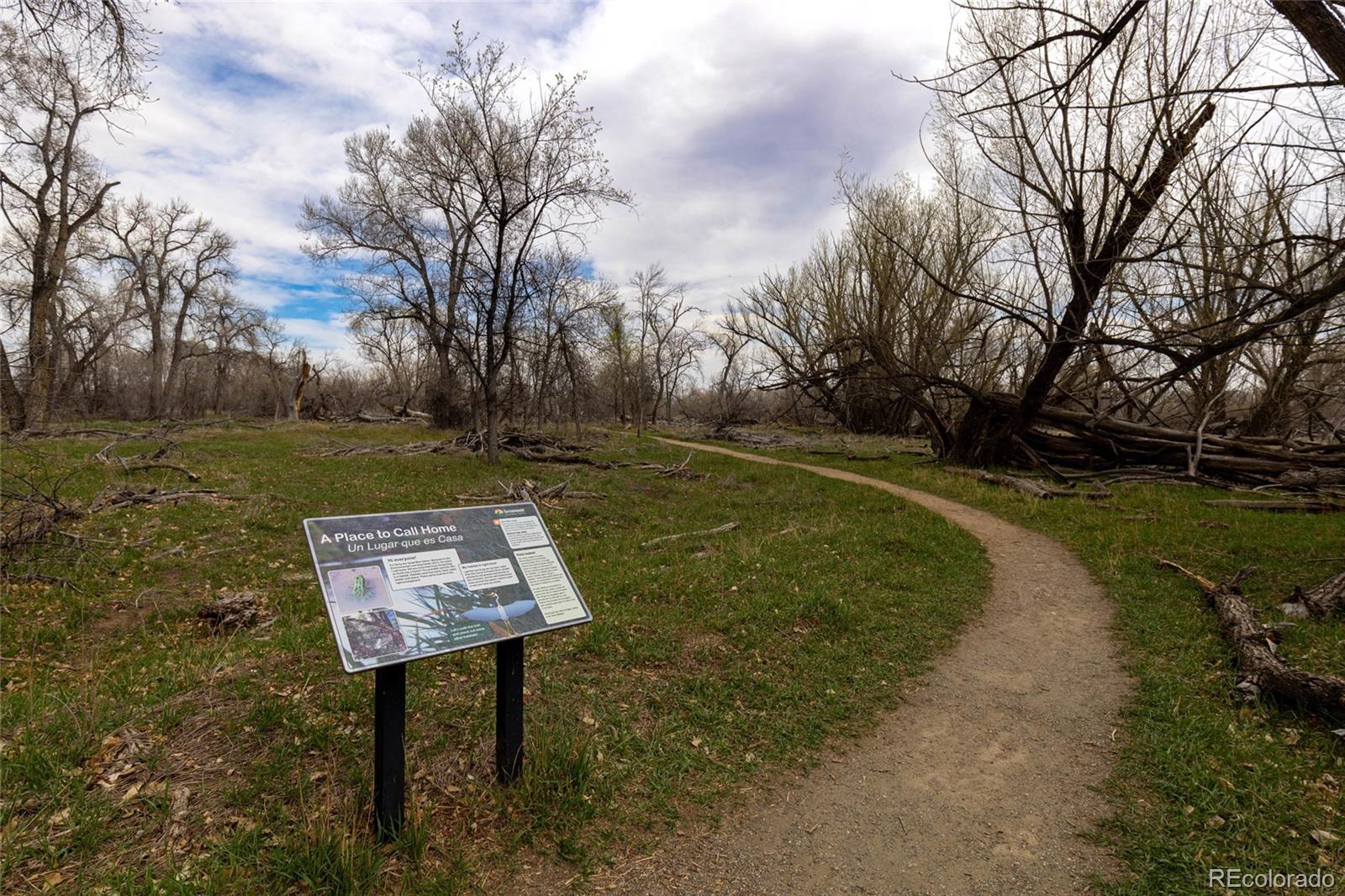 MLS Image #43 for 2975  denver drive,fort collins, Colorado