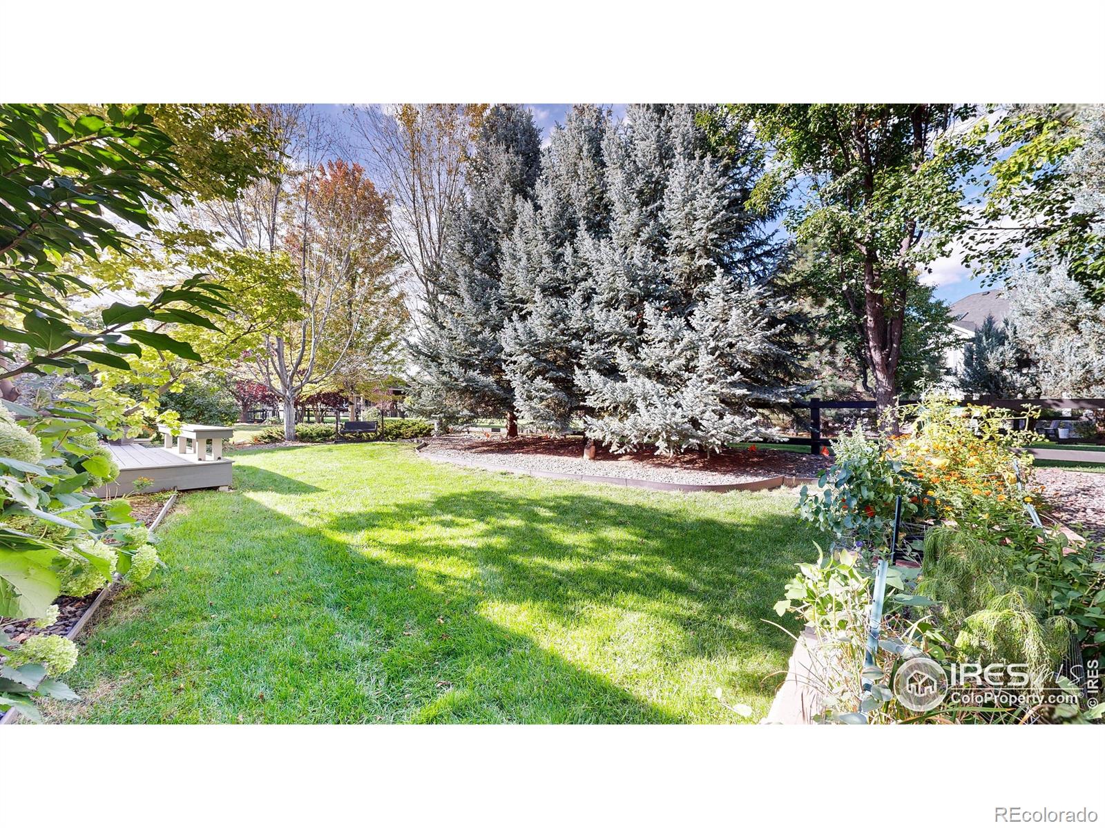 MLS Image #28 for 6546  royal country down drive,windsor, Colorado