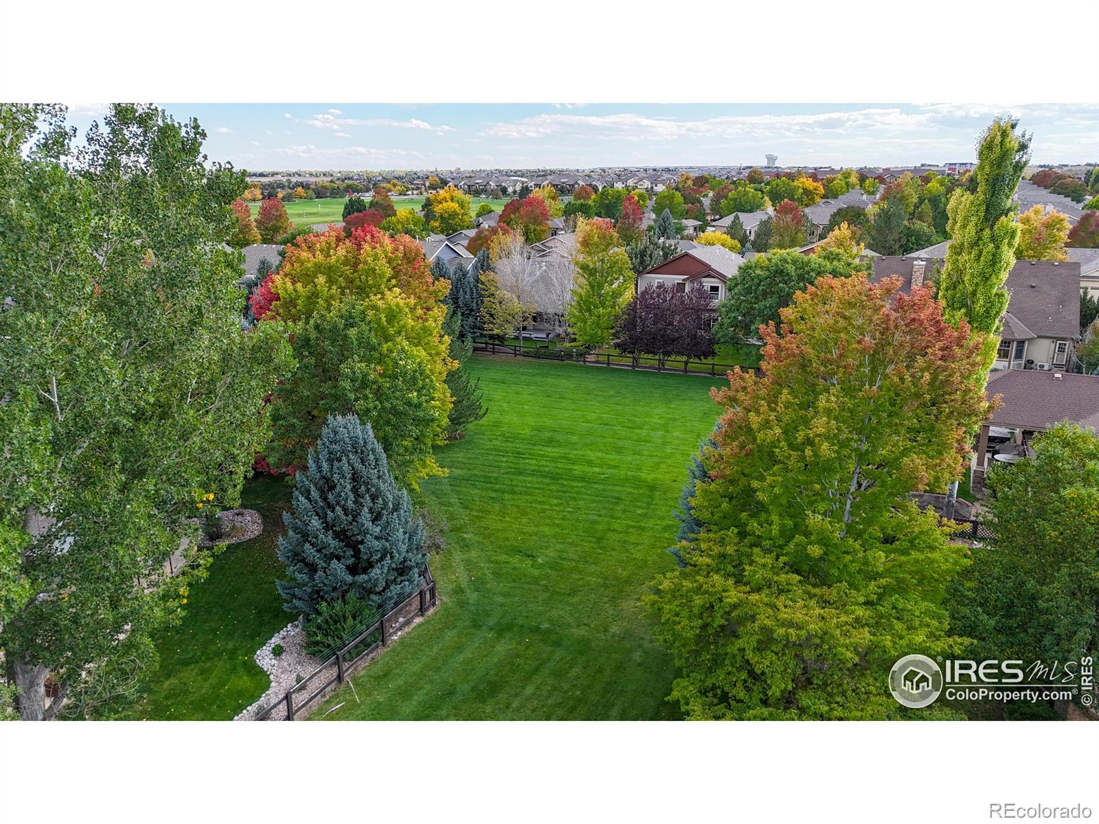 MLS Image #31 for 6546  royal country down drive,windsor, Colorado