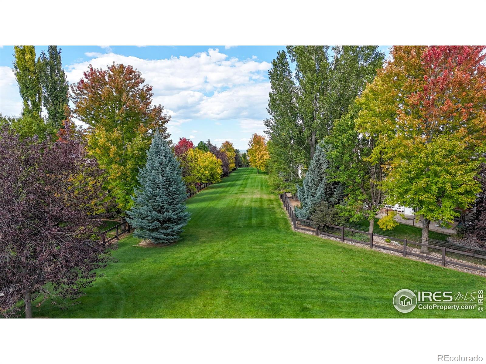 MLS Image #32 for 6546  royal country down drive,windsor, Colorado