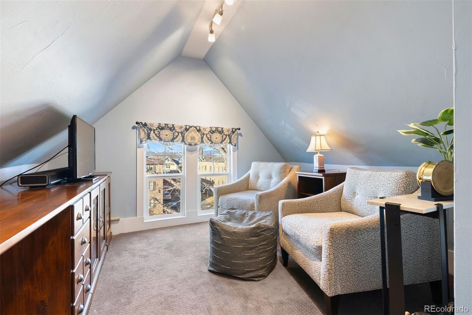 MLS Image #30 for 258 n grant street,denver, Colorado