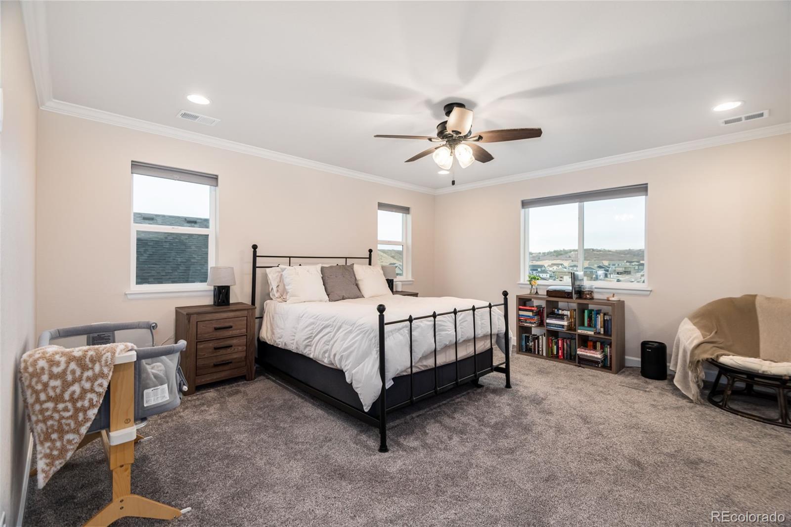 MLS Image #10 for 4938  coltin trail,castle rock, Colorado