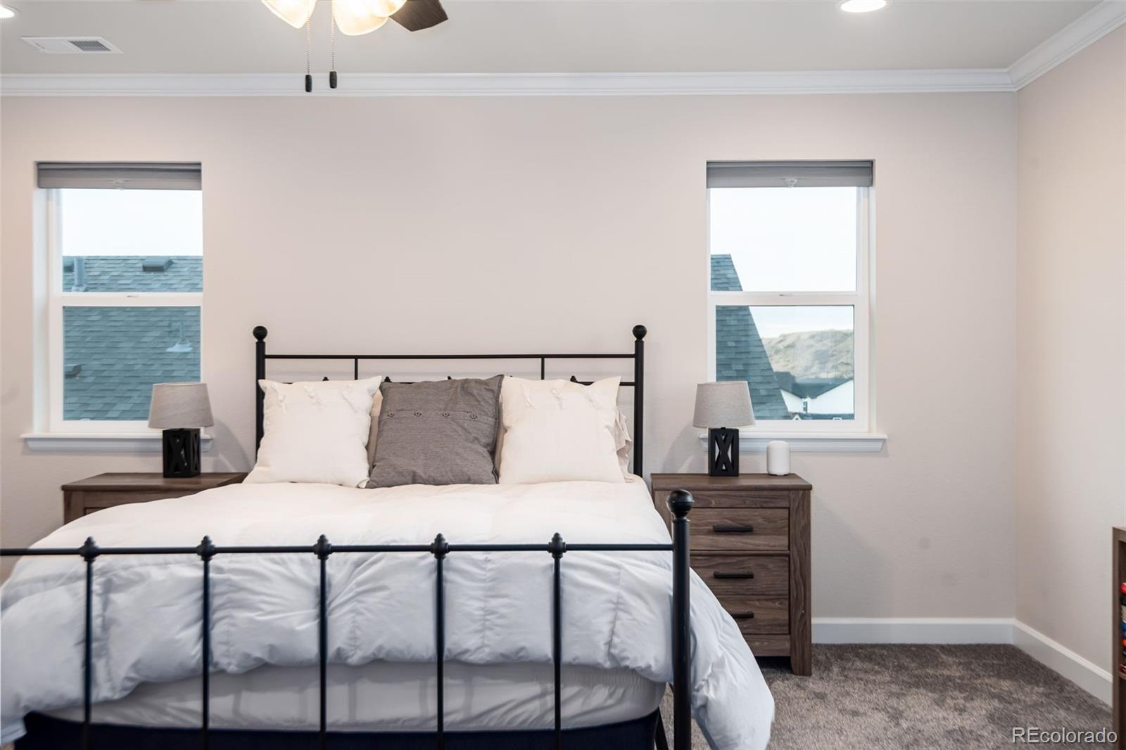 MLS Image #12 for 4938  coltin trail,castle rock, Colorado
