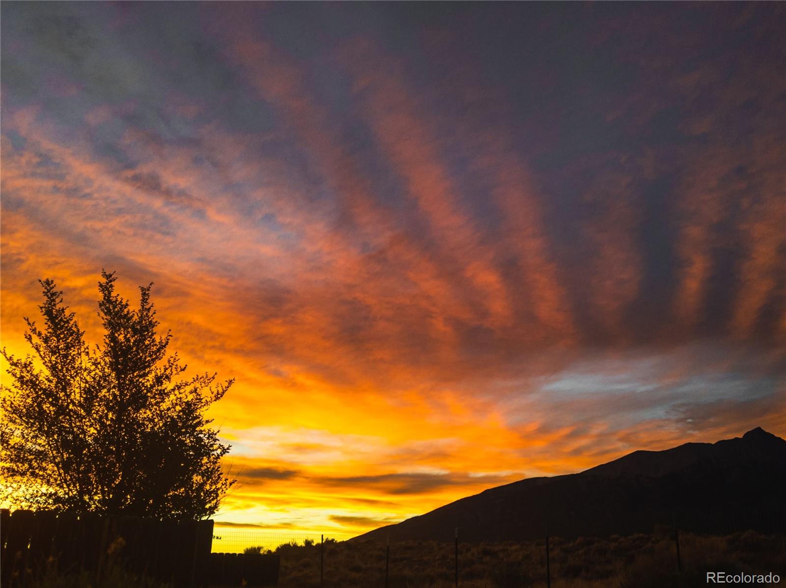 MLS Image #35 for 32500  oak avenue,blanca, Colorado