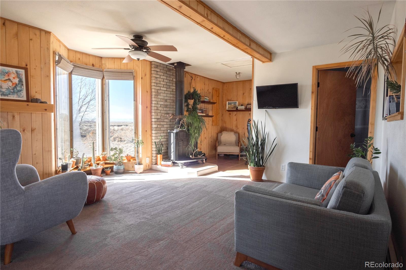MLS Image #4 for 32500  oak avenue,blanca, Colorado