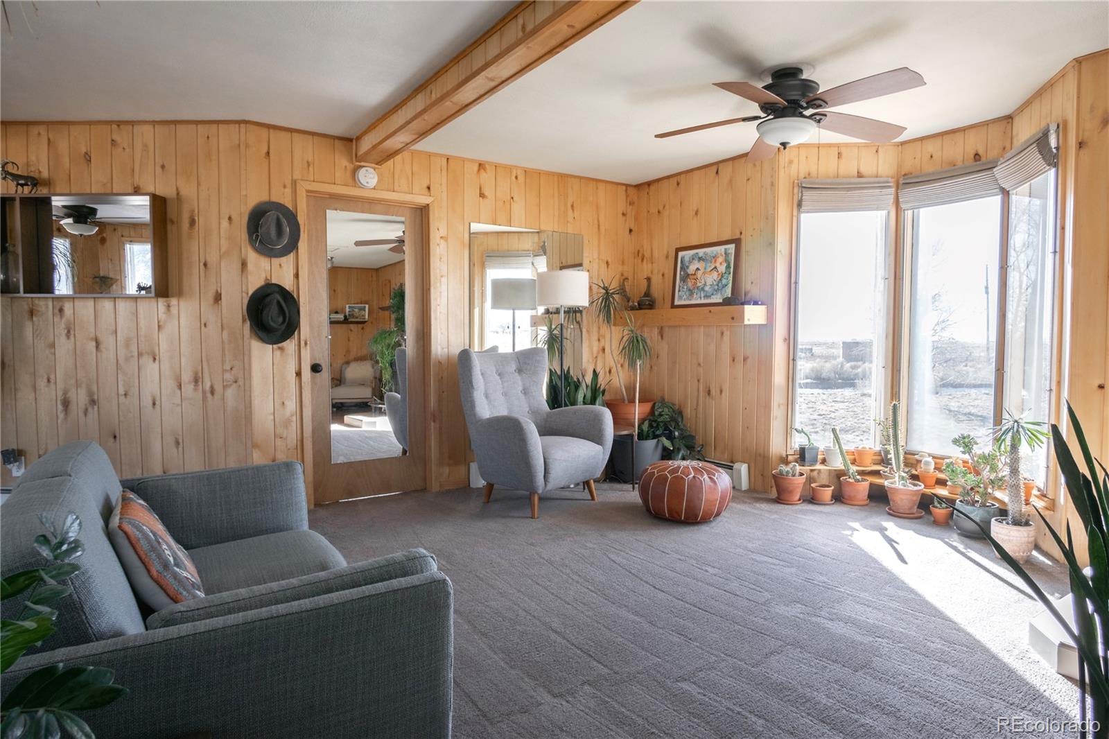 MLS Image #5 for 32500  oak avenue,blanca, Colorado