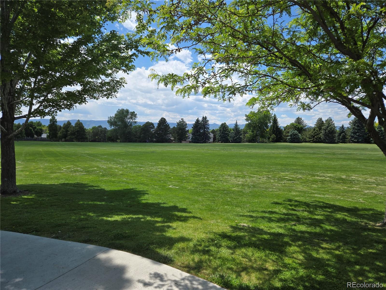 MLS Image #36 for 7782 s louthan street,littleton, Colorado