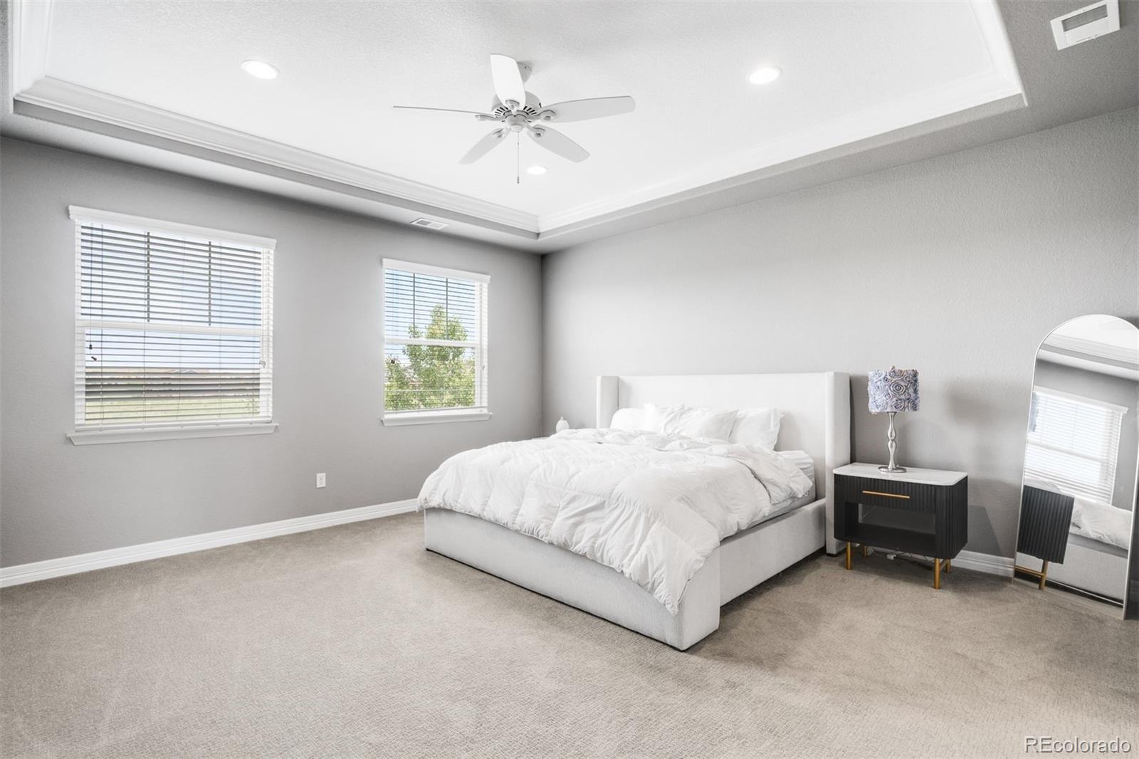 MLS Image #10 for 252  equinox circle,erie, Colorado