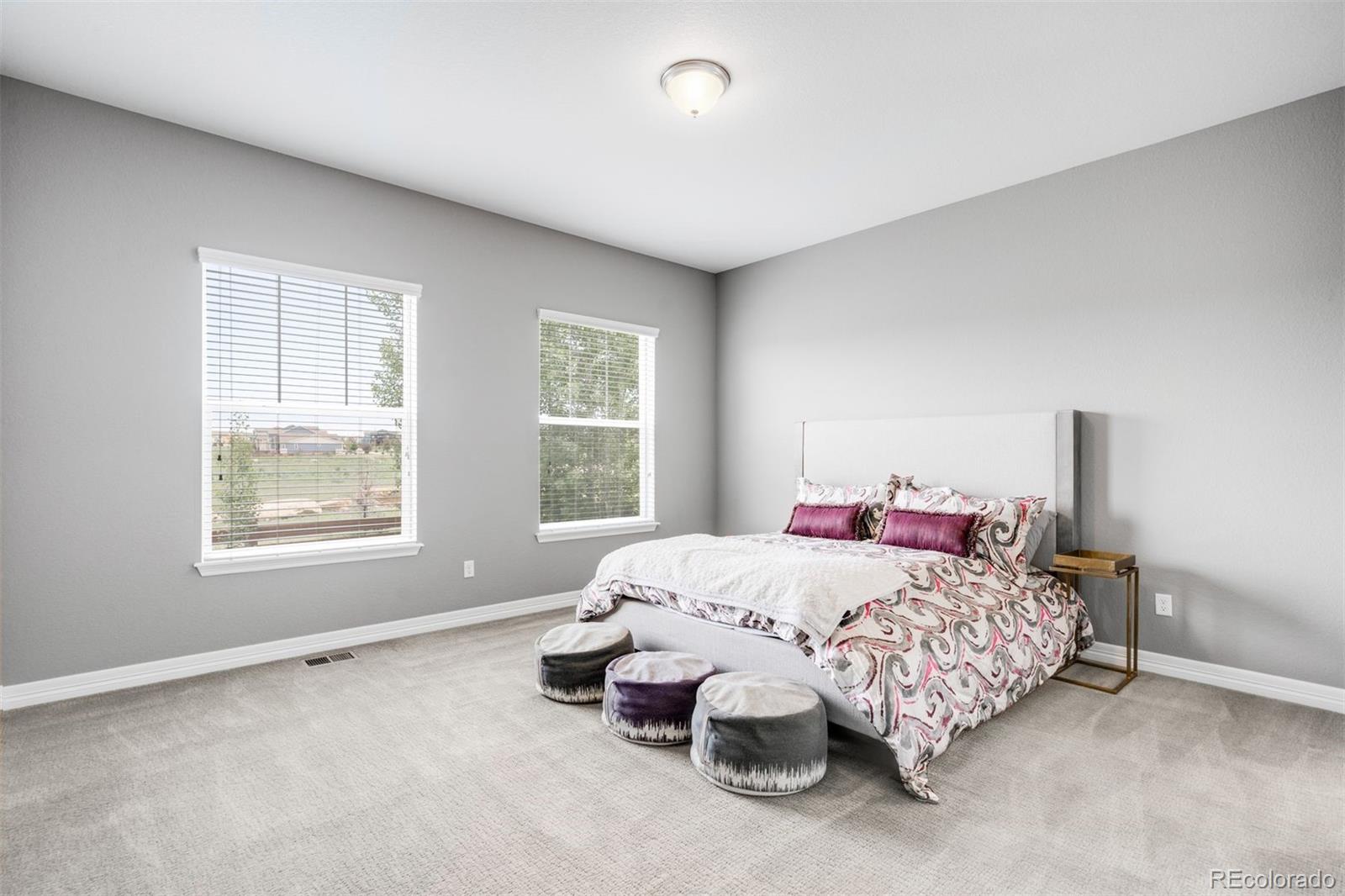 MLS Image #20 for 252  equinox circle,erie, Colorado