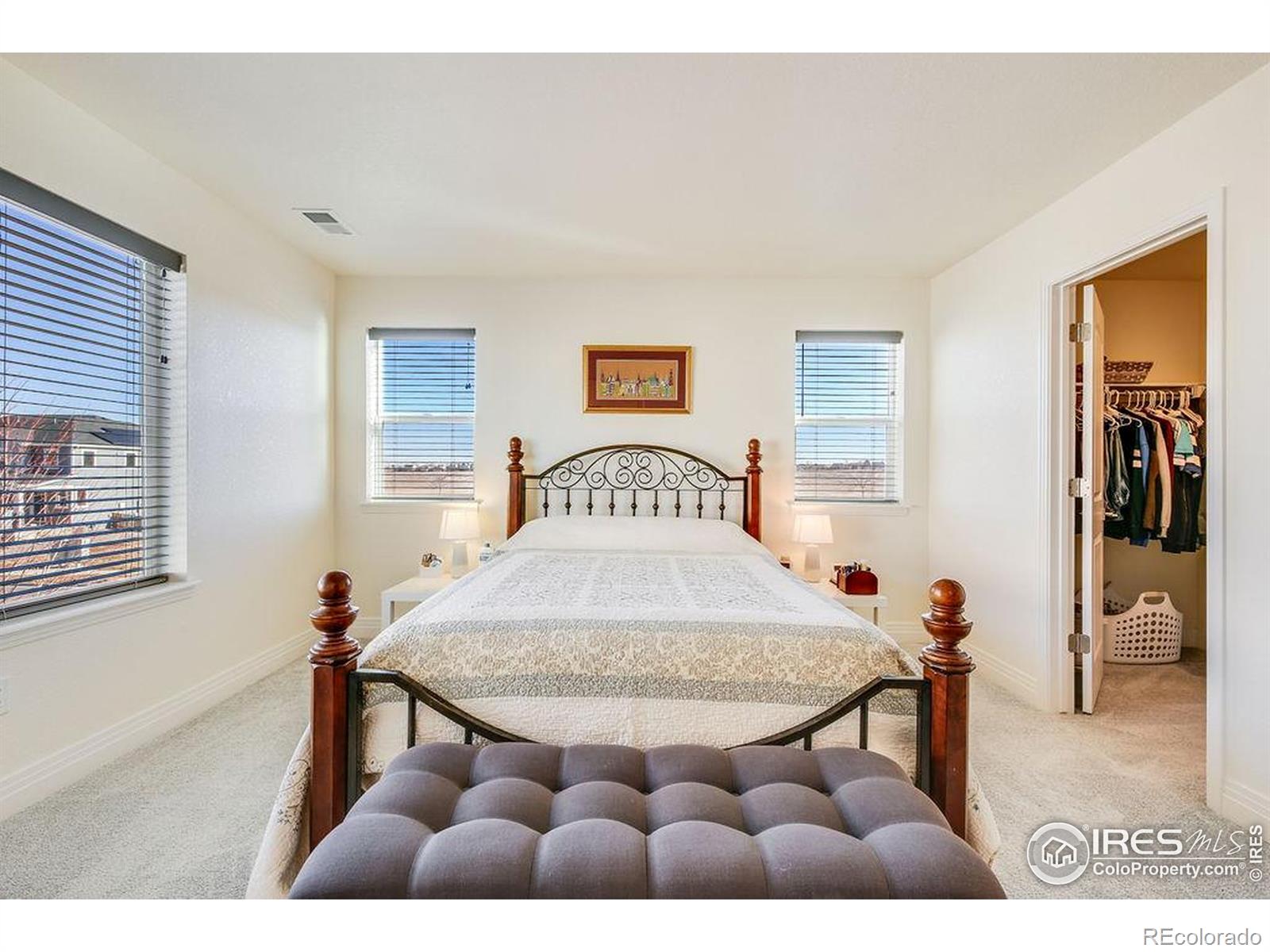 MLS Image #19 for 1102  kitty hawk court,fort collins, Colorado