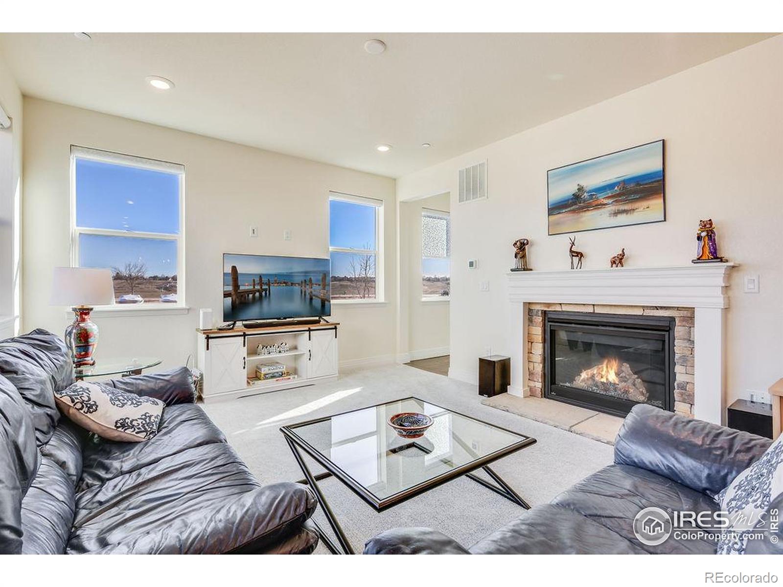 MLS Image #8 for 1102  kitty hawk court,fort collins, Colorado