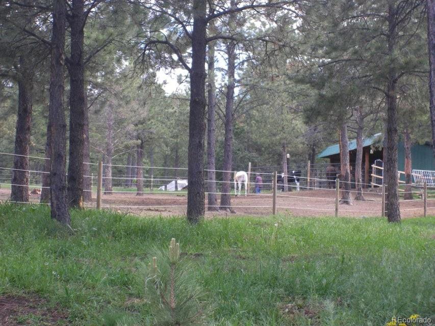 MLS Image #10 for 18908  county road 31.9 ,weston, Colorado
