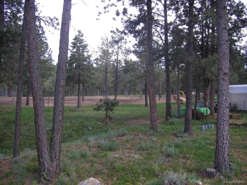 MLS Image #22 for 18908  county road 31.9 ,weston, Colorado