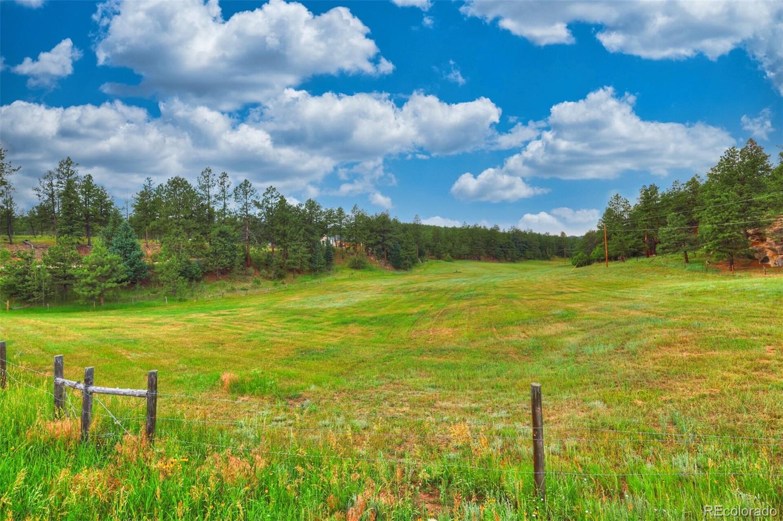 MLS Image #4 for 18908  county road 31.9 ,weston, Colorado