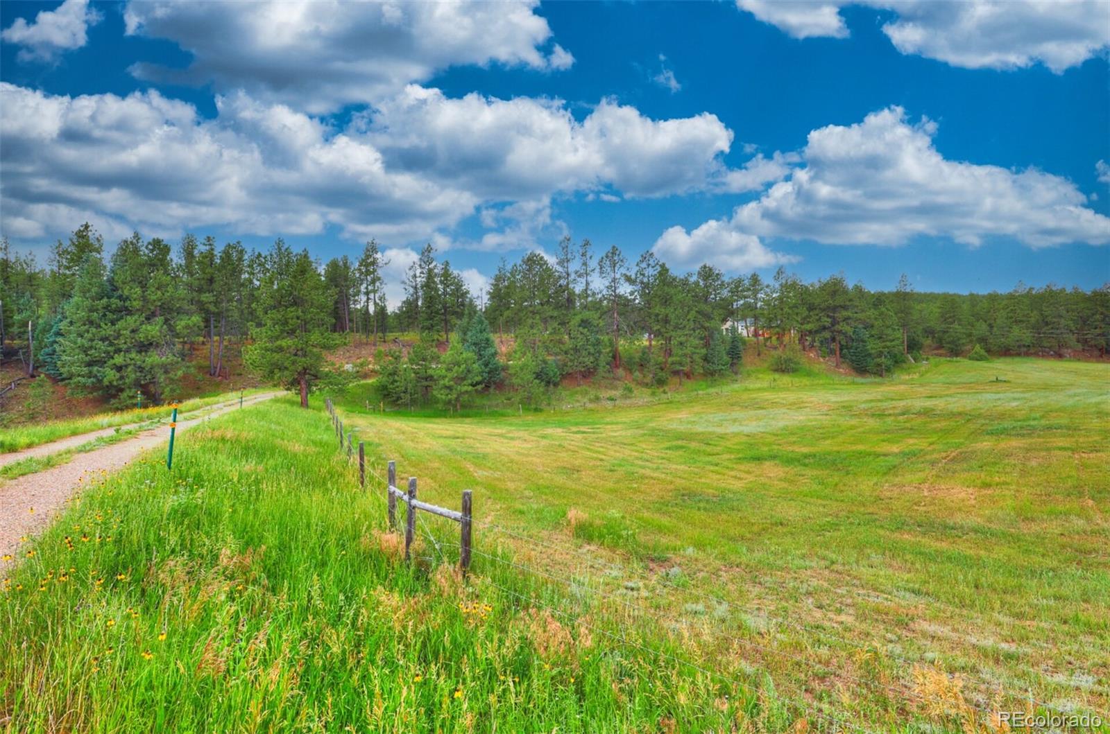 MLS Image #6 for 18908  county road 31.9 ,weston, Colorado