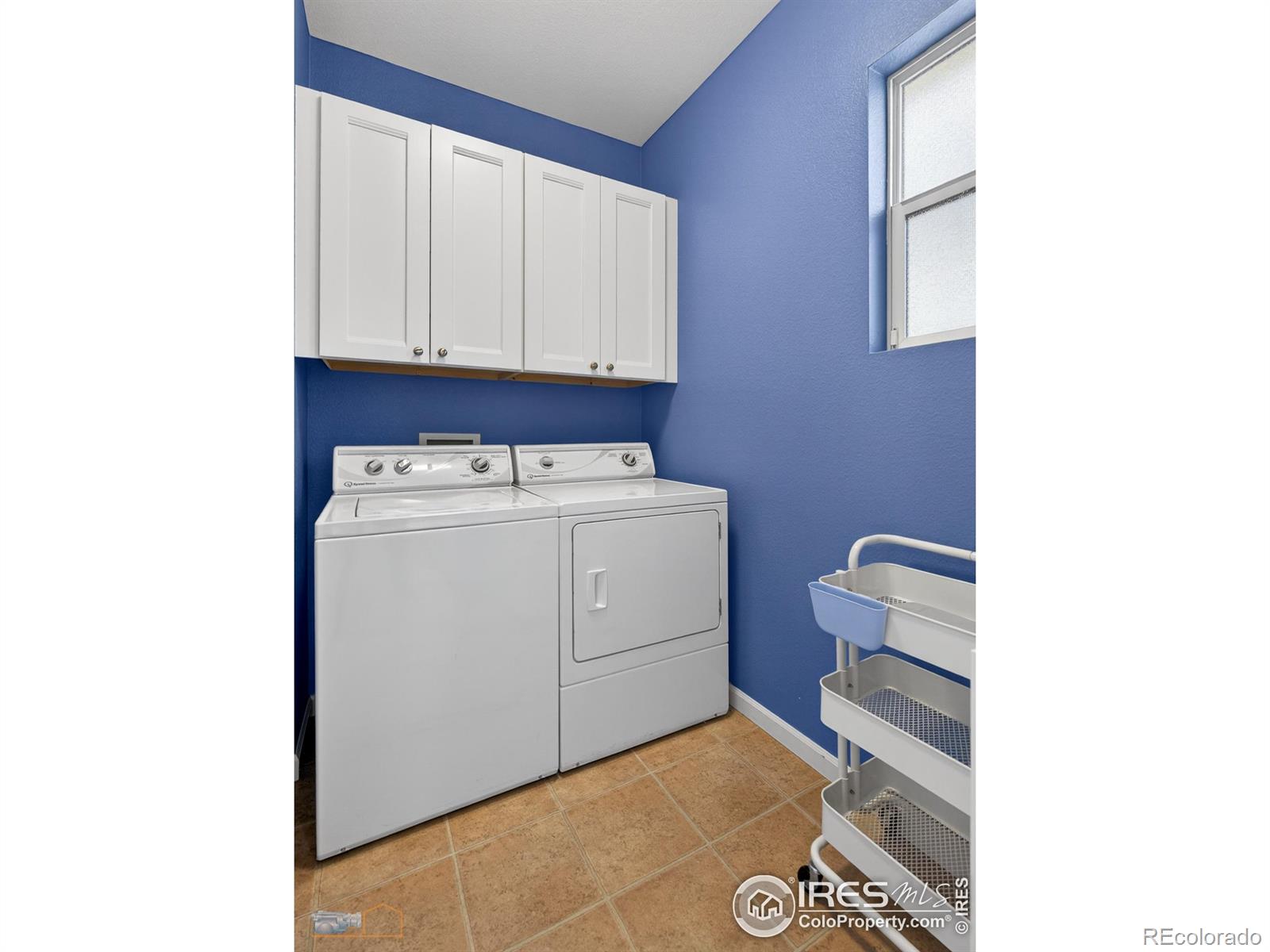 MLS Image #17 for 4321  lucca drive,longmont, Colorado