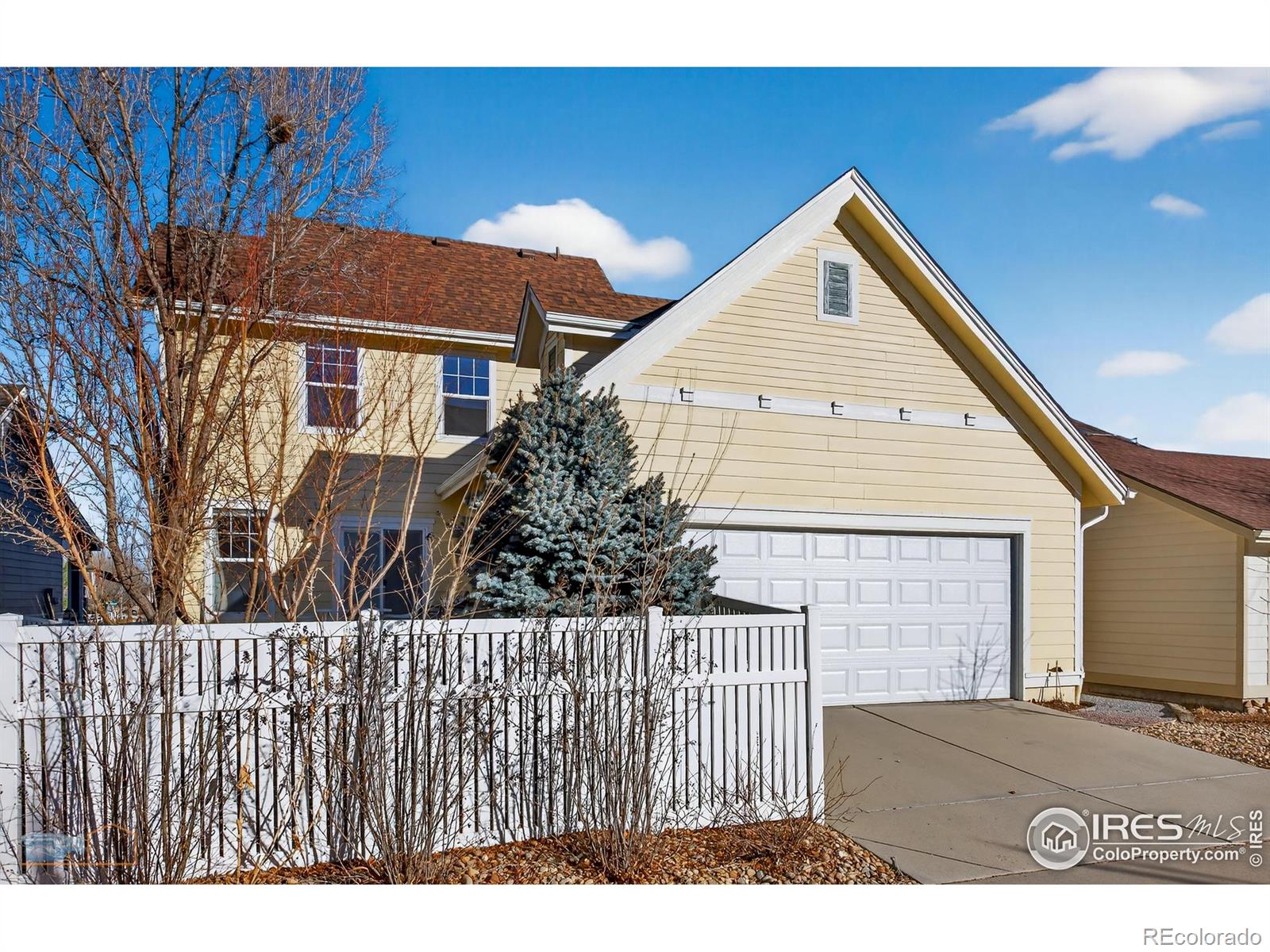 MLS Image #21 for 4321  lucca drive,longmont, Colorado
