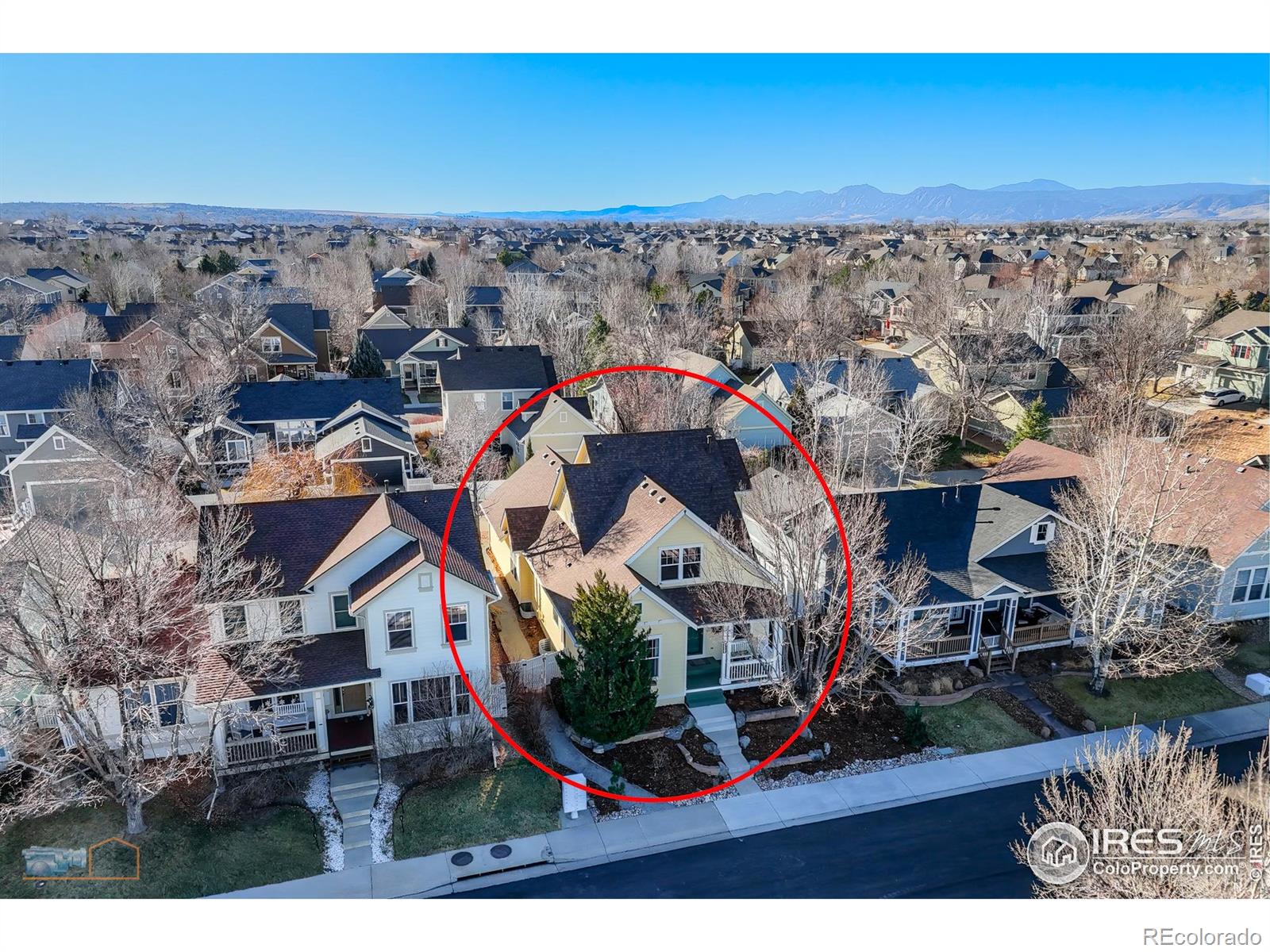 MLS Image #4 for 4321  lucca drive,longmont, Colorado