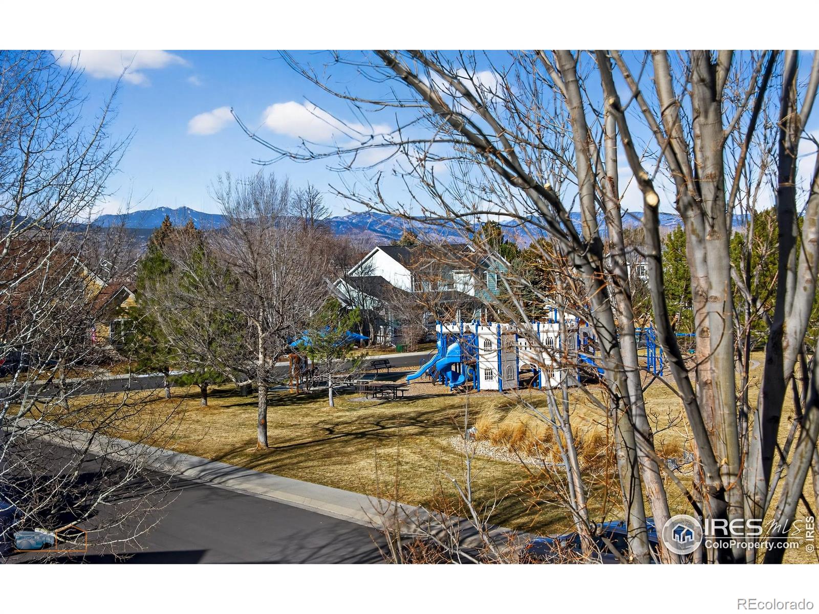 MLS Image #41 for 4321  lucca drive,longmont, Colorado
