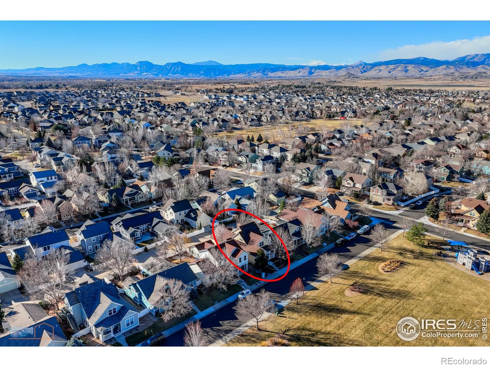 MLS Image #5 for 4321  lucca drive,longmont, Colorado