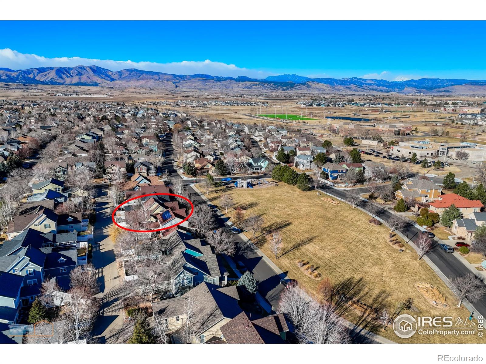 MLS Image #6 for 4321  lucca drive,longmont, Colorado