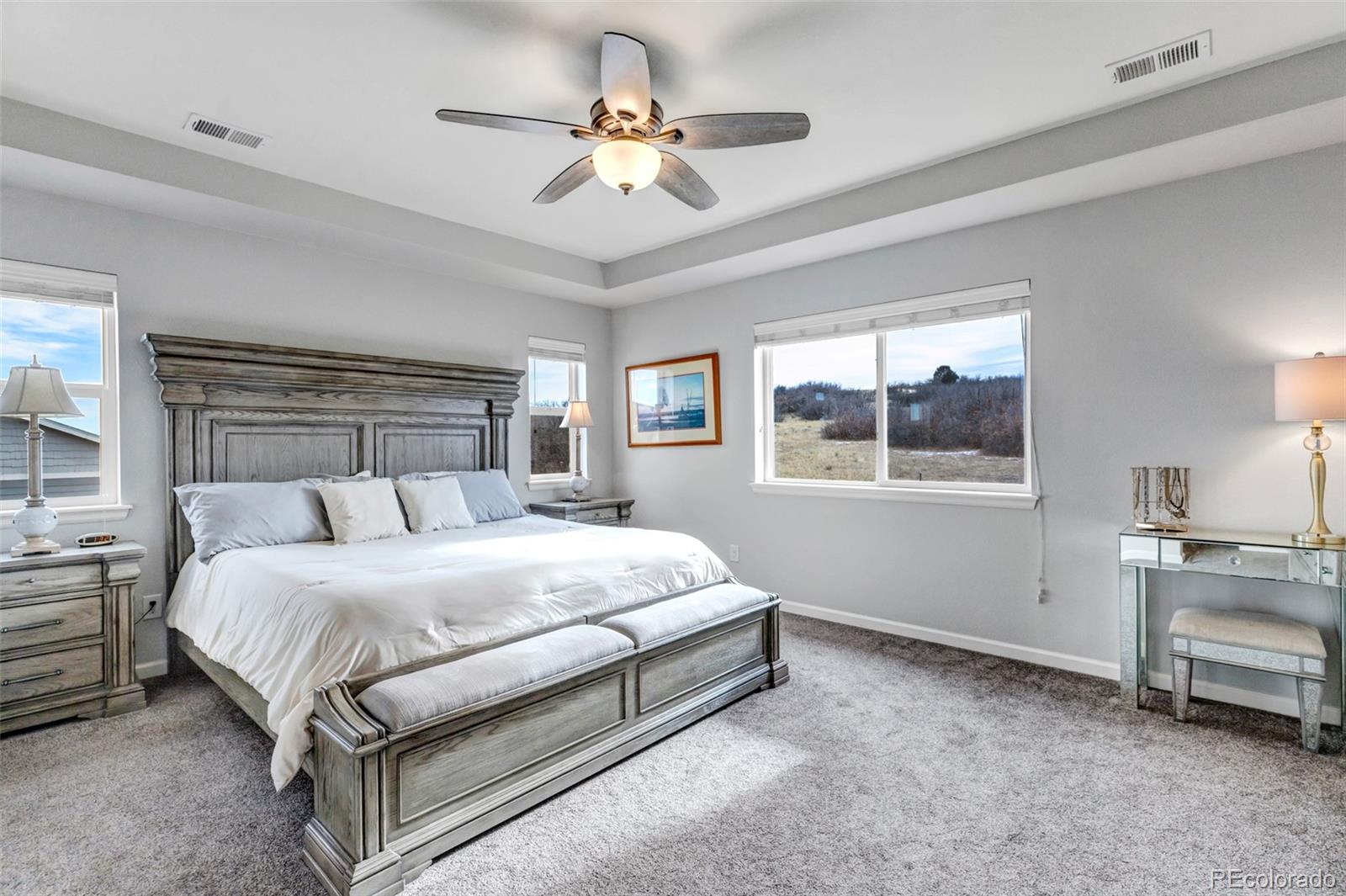 MLS Image #16 for 7232  oasis drive,castle rock, Colorado