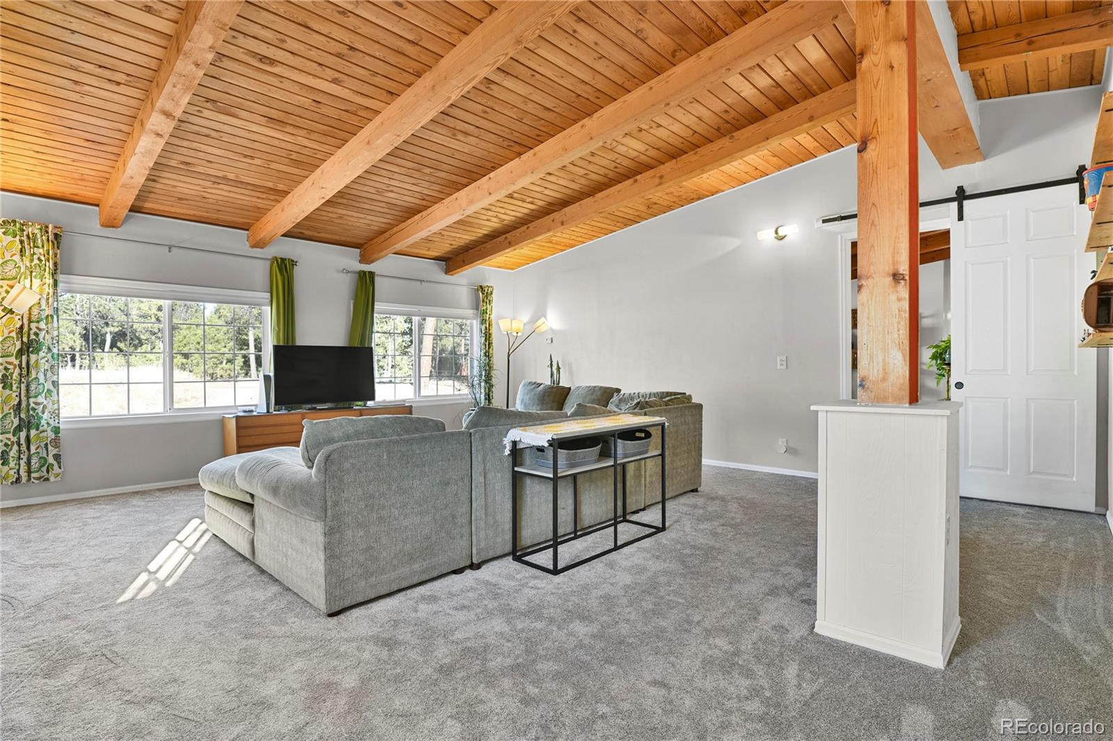 MLS Image #19 for 7015  mcferran road,colorado springs, Colorado