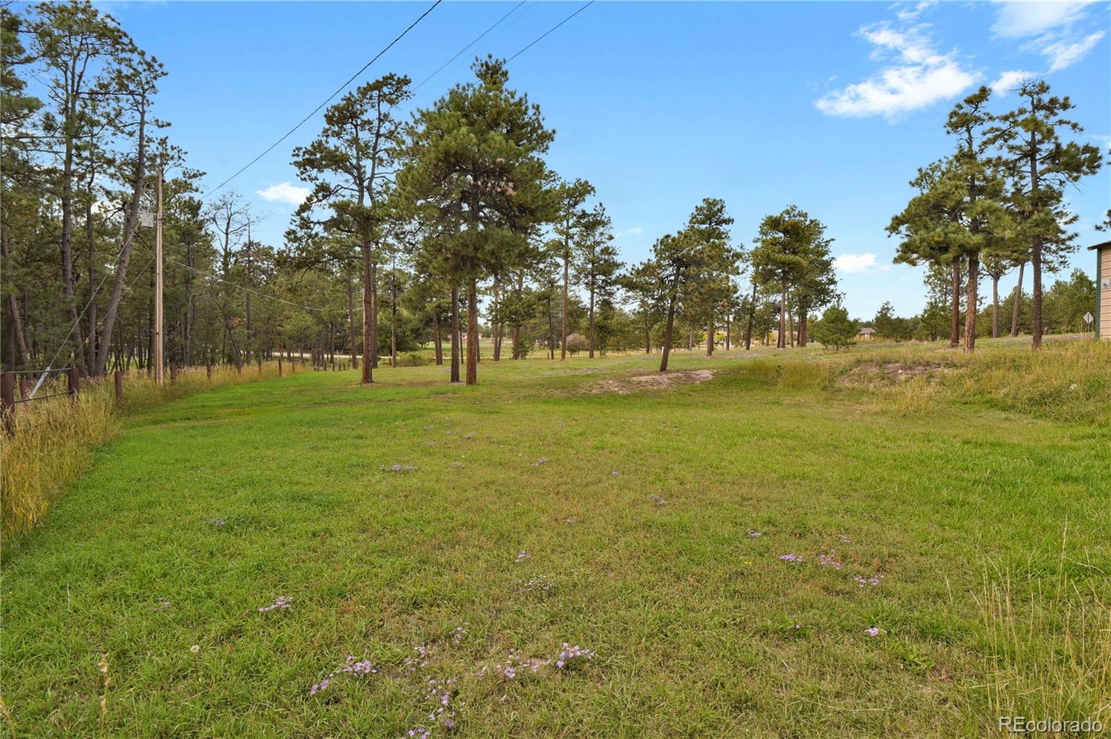 MLS Image #49 for 7015  mcferran road,colorado springs, Colorado