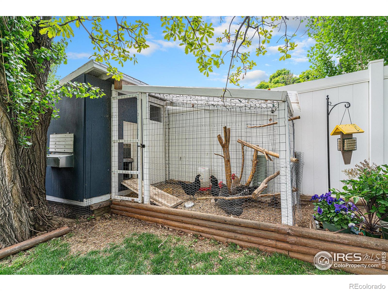 MLS Image #29 for 264  alder avenue,johnstown, Colorado