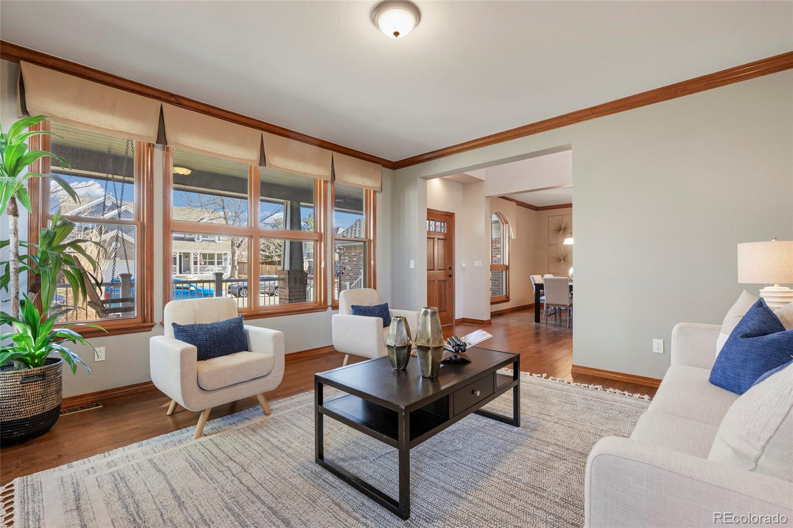 MLS Image #5 for 9233  princeton street,highlands ranch, Colorado