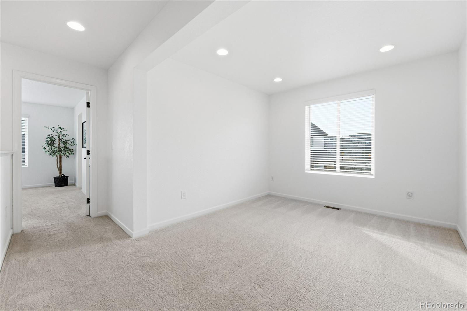 MLS Image #19 for 6552  steuben way,castle pines, Colorado