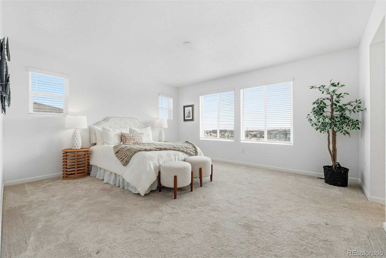 MLS Image #21 for 6552  steuben way,castle pines, Colorado