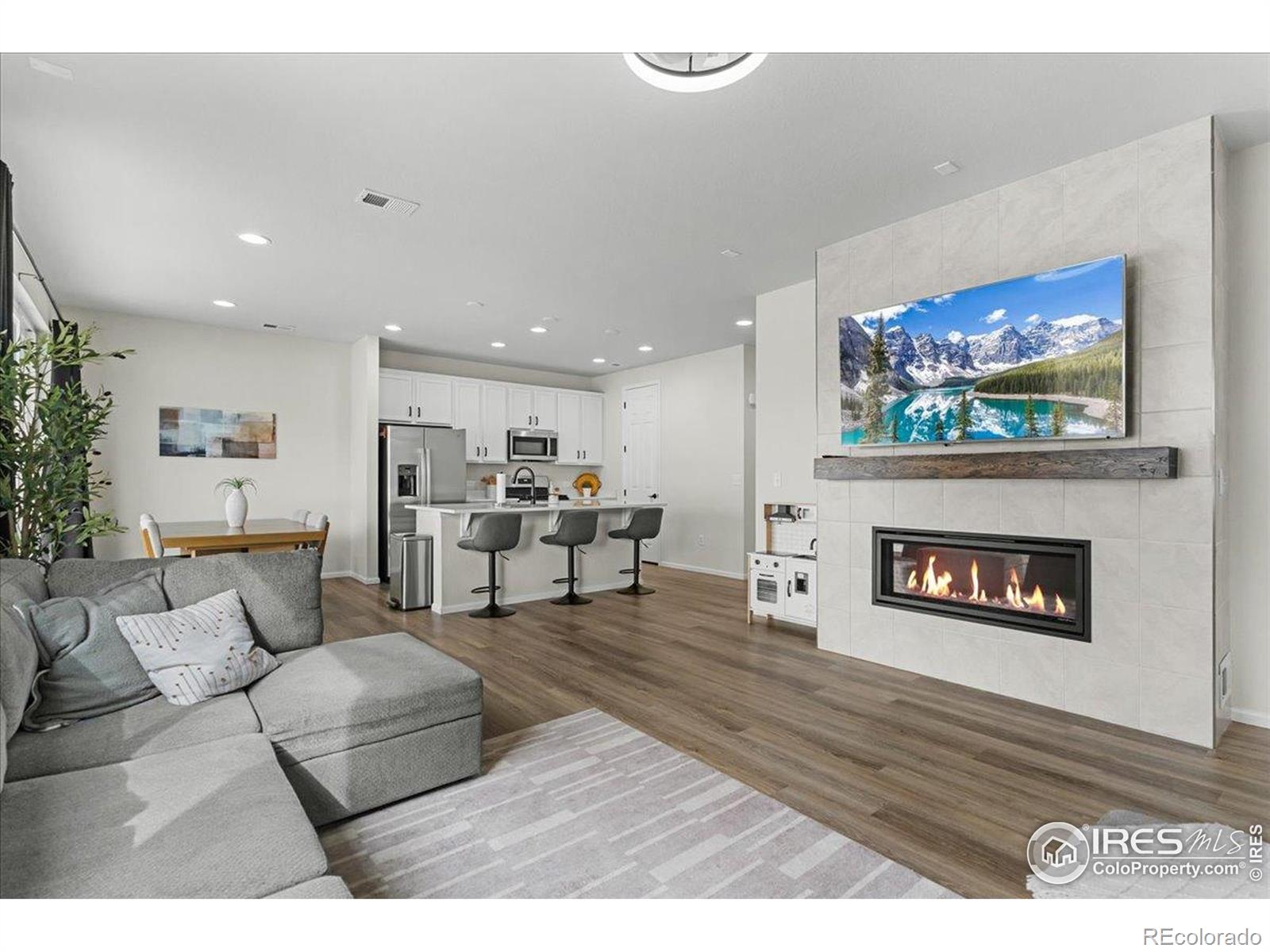 MLS Image #11 for 1049  urial drive,severance, Colorado