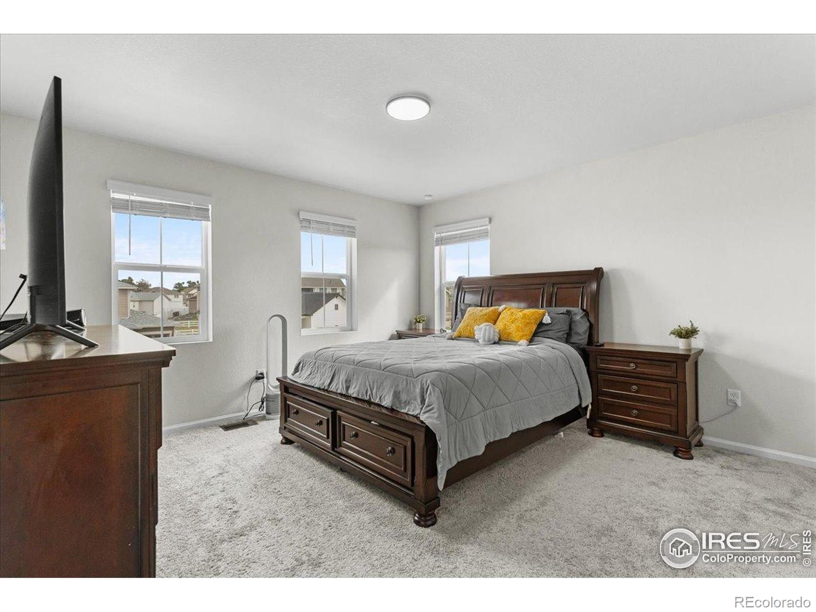 MLS Image #15 for 1049  urial drive,severance, Colorado
