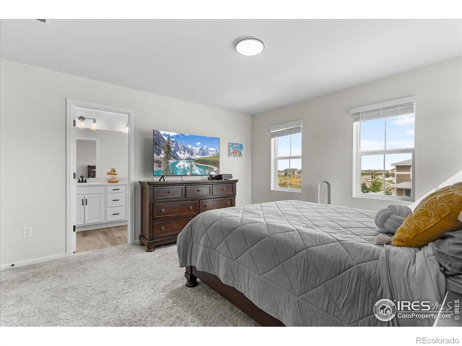 MLS Image #16 for 1049  urial drive,severance, Colorado