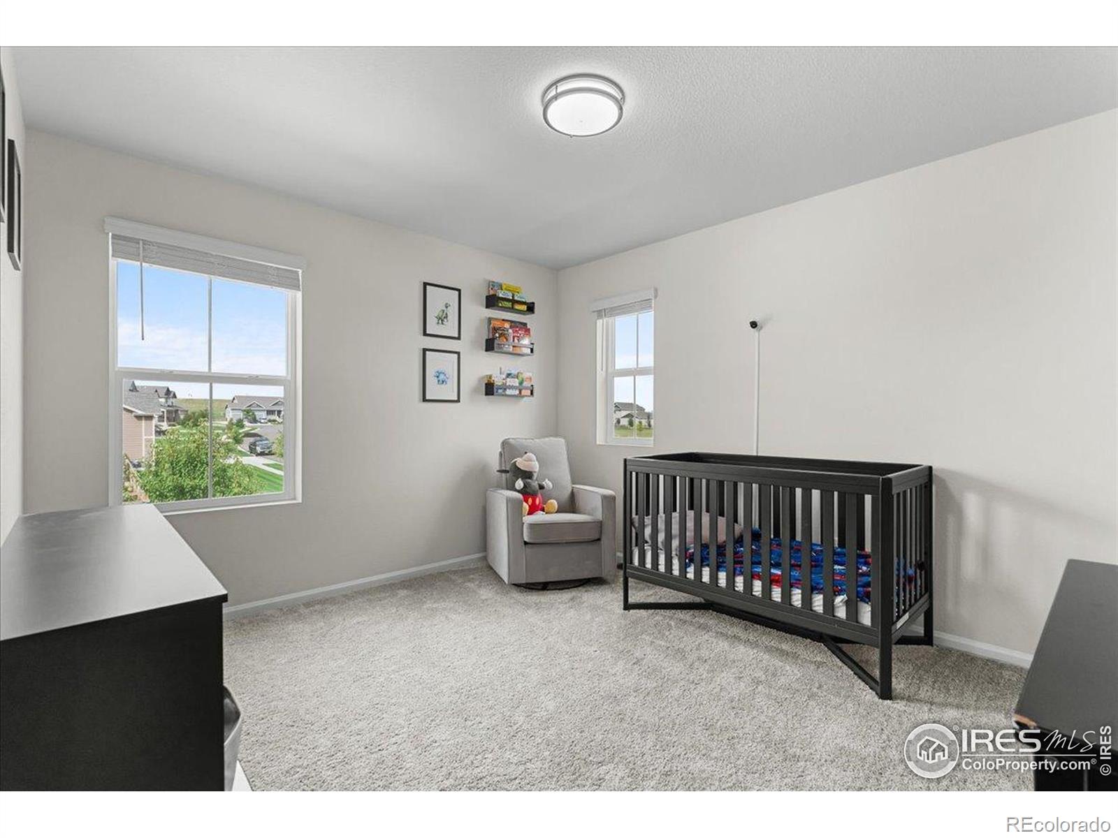 MLS Image #21 for 1049  urial drive,severance, Colorado