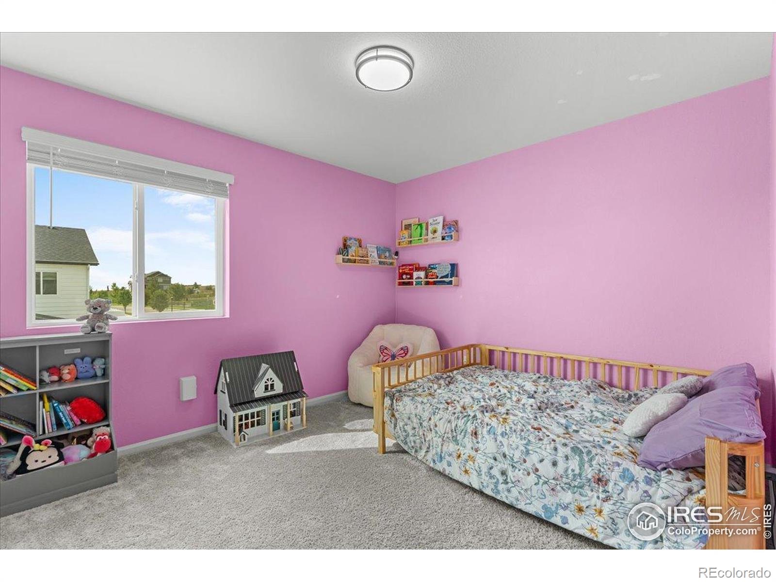 MLS Image #22 for 1049  urial drive,severance, Colorado