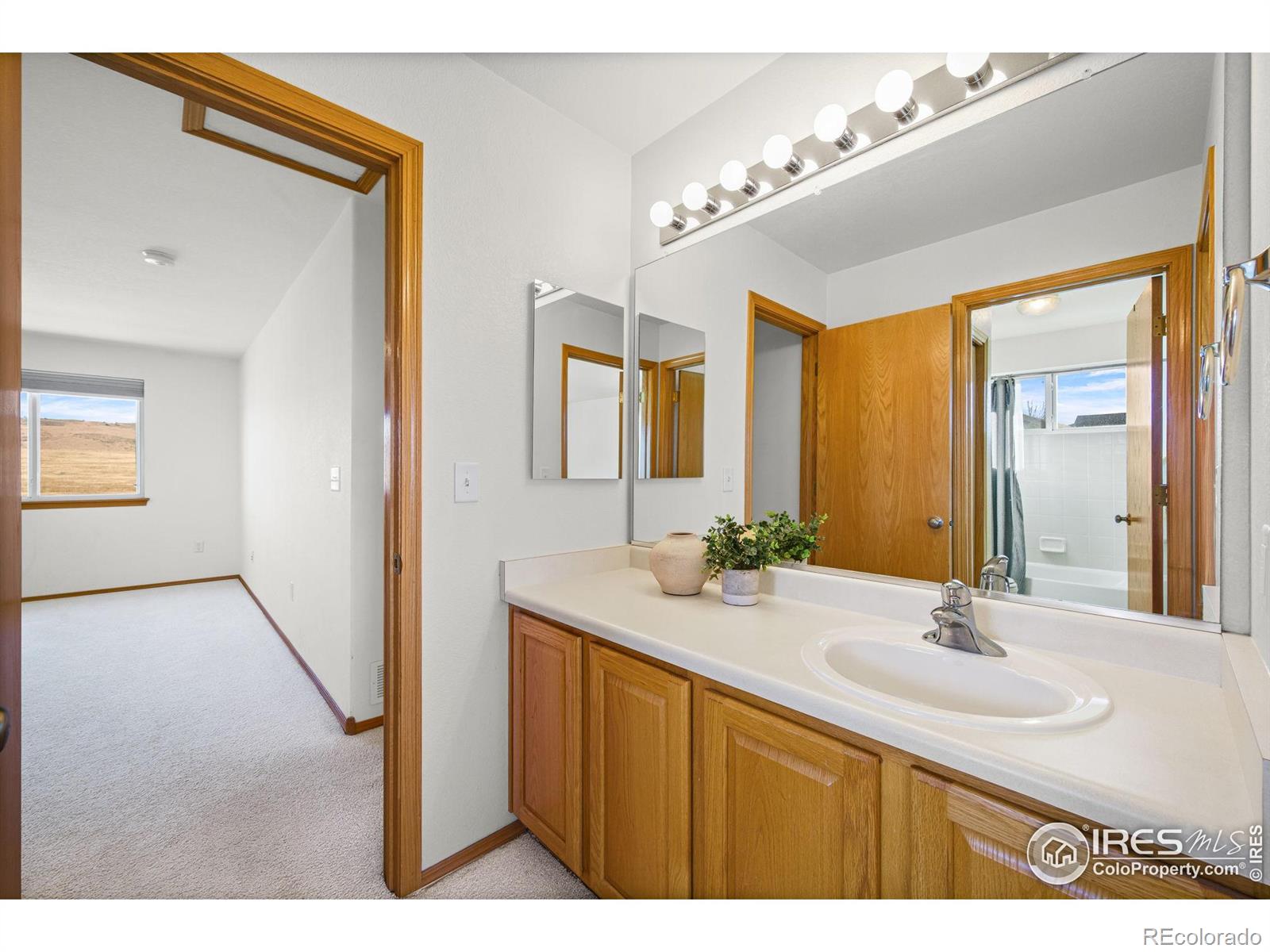 MLS Image #23 for 7133  ranger drive,fort collins, Colorado