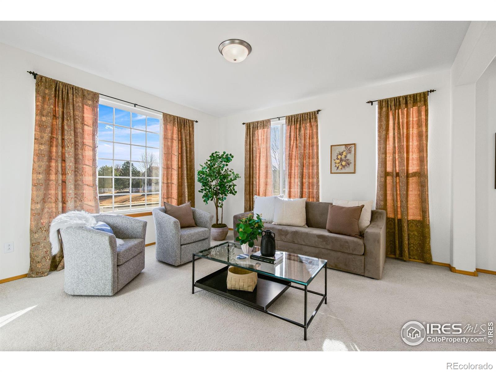 MLS Image #7 for 7133  ranger drive,fort collins, Colorado