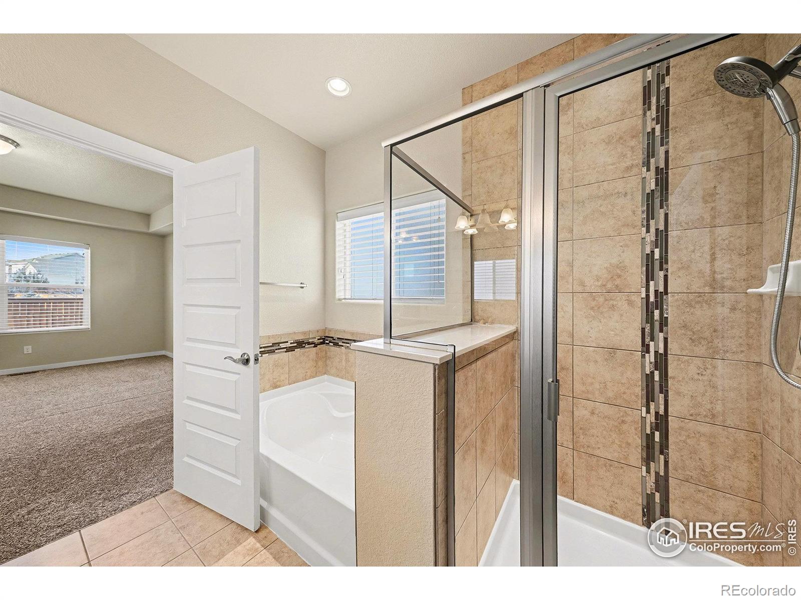 MLS Image #19 for 1693  maseca plaza way,severance, Colorado