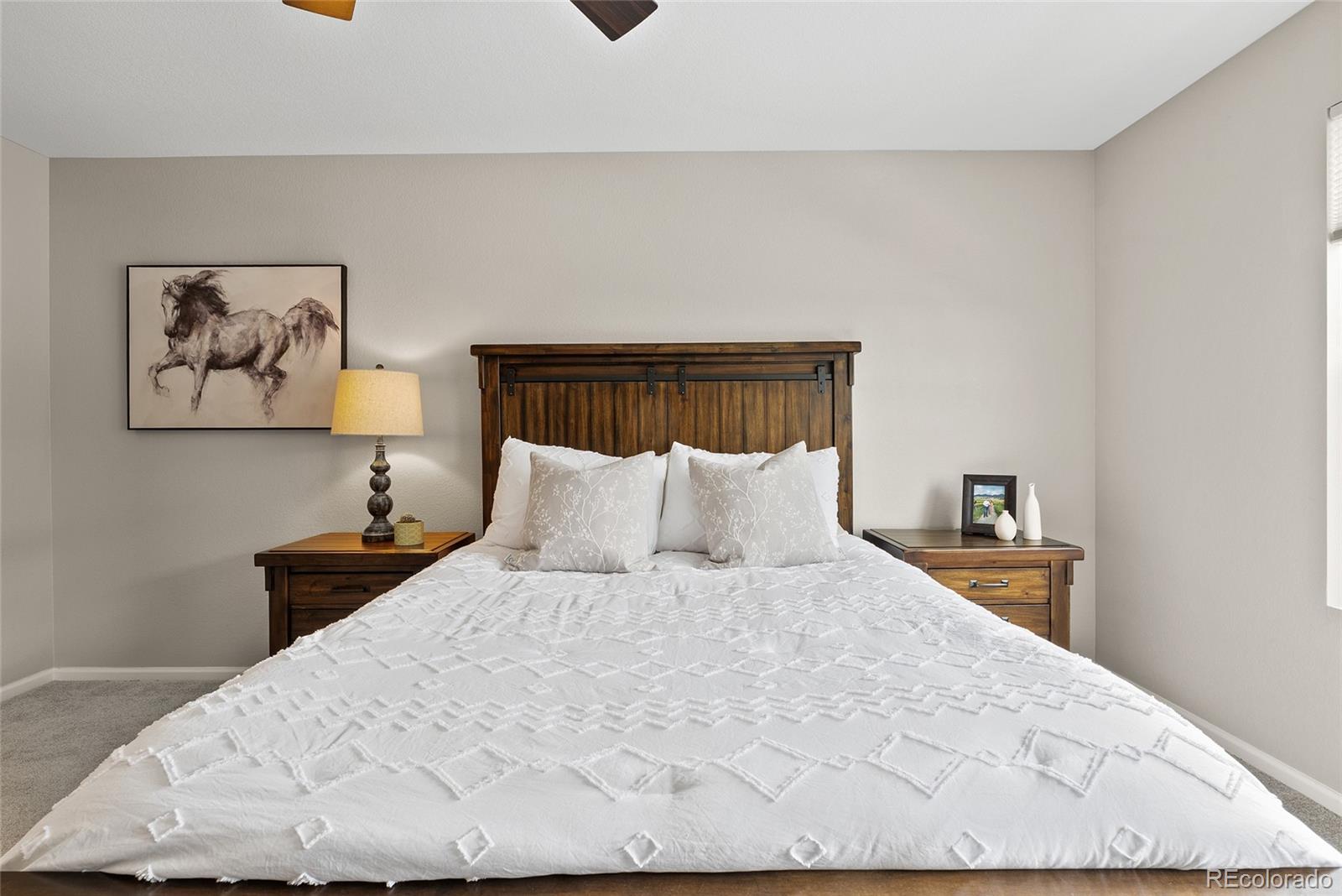 MLS Image #20 for 138  lullaby lane,castle rock, Colorado
